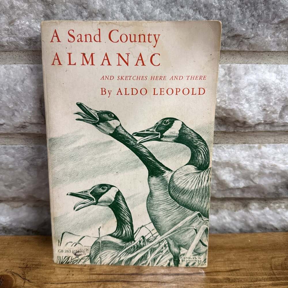 A Sand County ALMANAC And Sketches By Aldo Leopold 60s